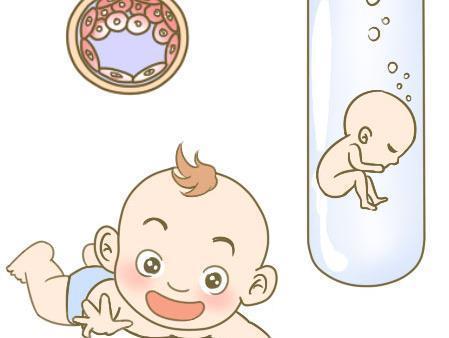 关于包生男孩公司